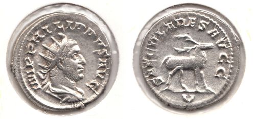 Kommission-Phillipus I. Arabs-Hirsch n. re. - AR-Antoninian